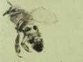 In flight(WEB).jpg