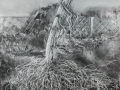 Exposed Root