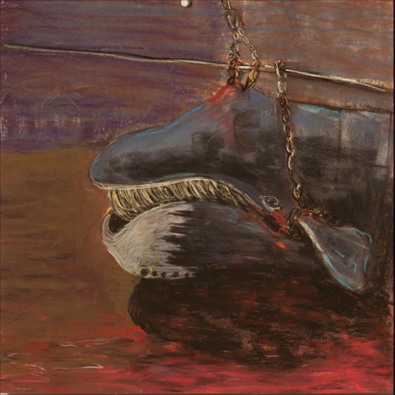 Study of Bowhead Slaughter-1