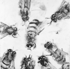 Bee Dance, Encaustic with graphite, 12"12"